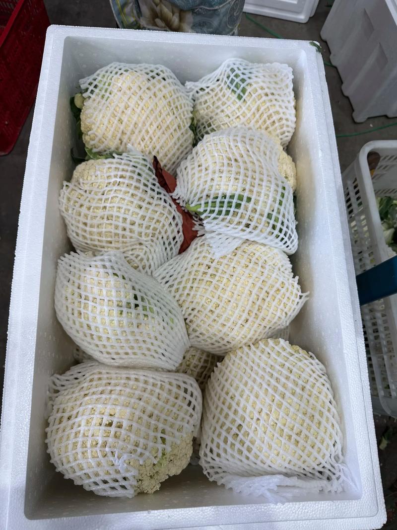阳泉商品批发行业动态：市场活力与挑战并存